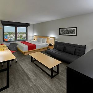 Superior King Room Sofa Bed